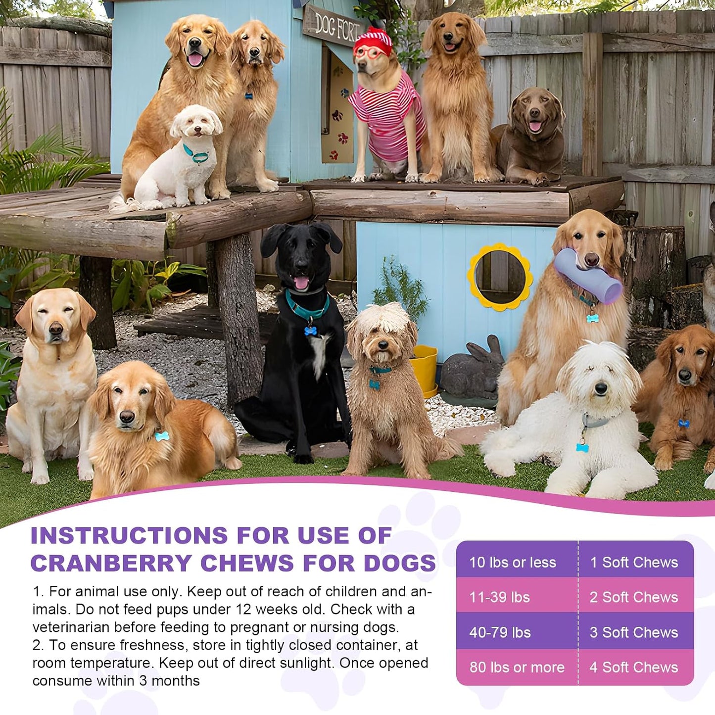 Authentic USA imported pet care vitamins for dog urinary tract infection preventative care