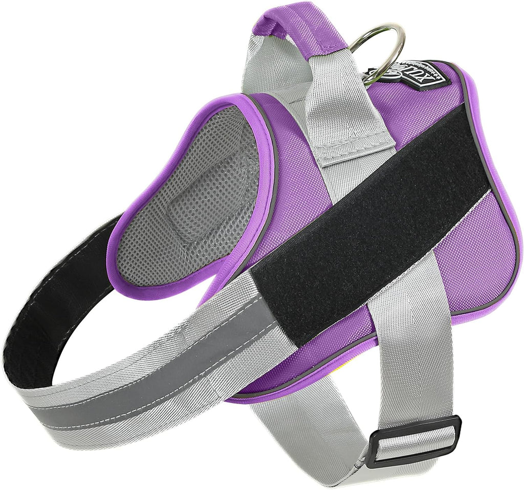 Dog Harness, No-Pull Reflective Dog Vest, Breathable Adjustable Pet Harness with Handle for Outdoor Walking - No More Pulling, Tugging or Choking (Blue, S) - Image 11