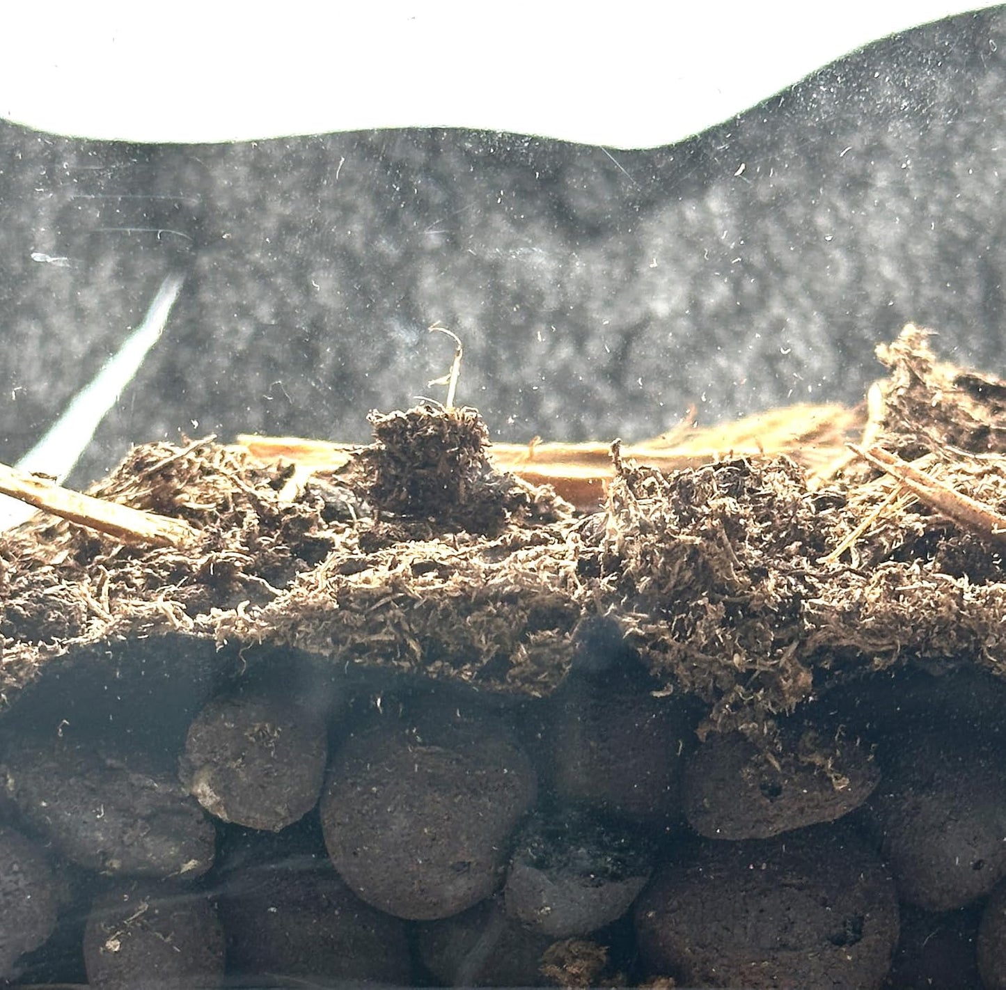 Ctwpets terrarium mesh liner being cut to size