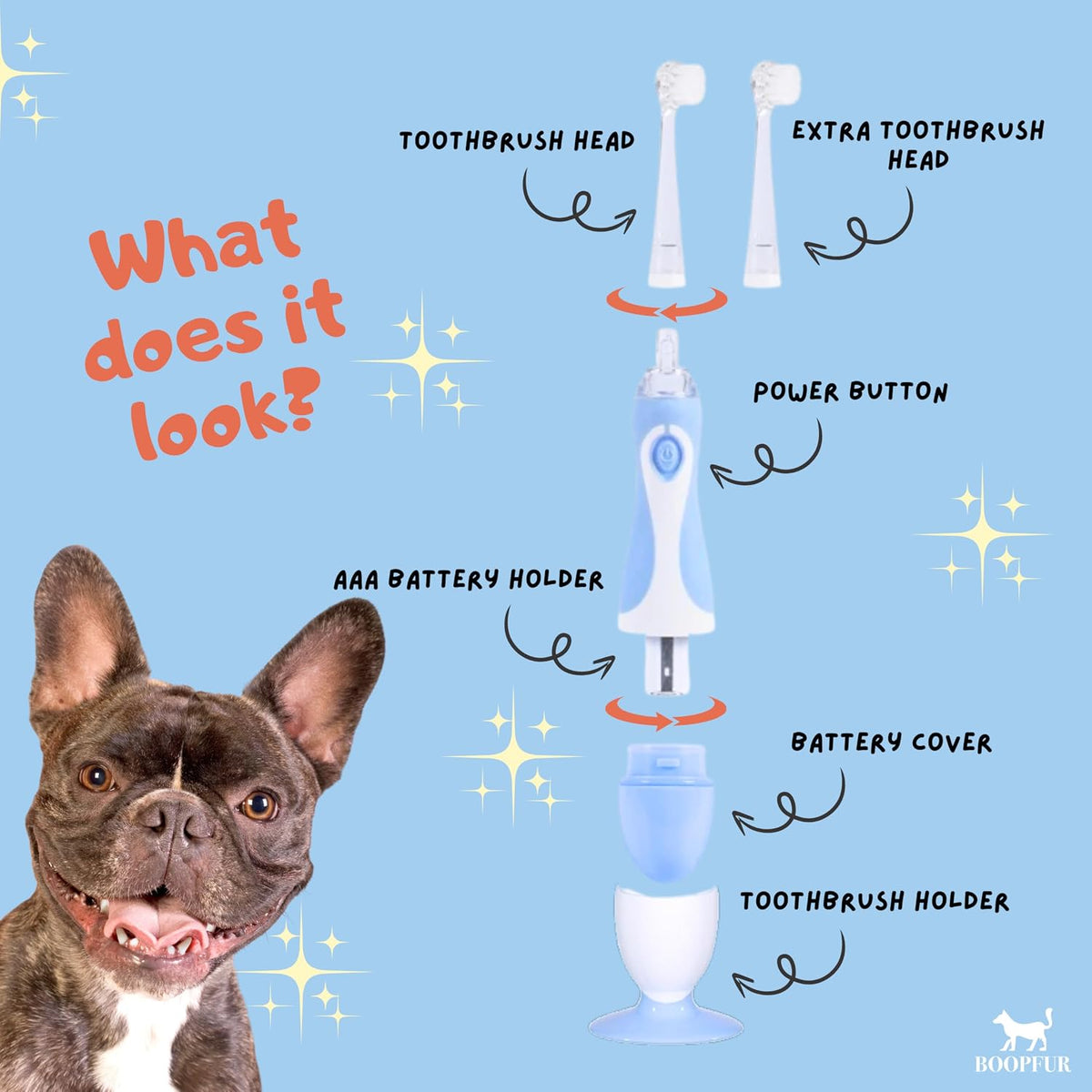 Components of the Generic pet dental cleaning kit