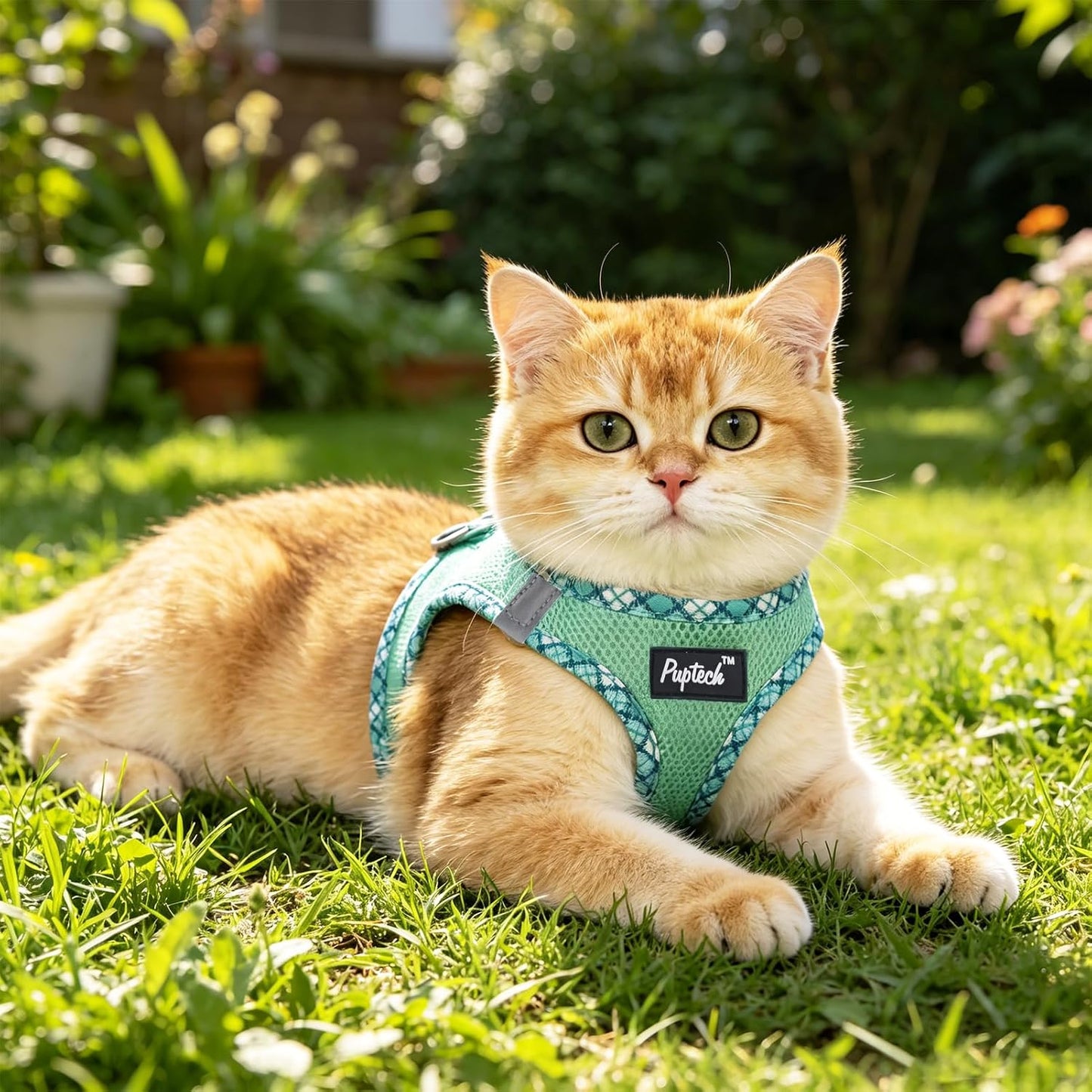 PUPTECK small green vest style cat harness on white background