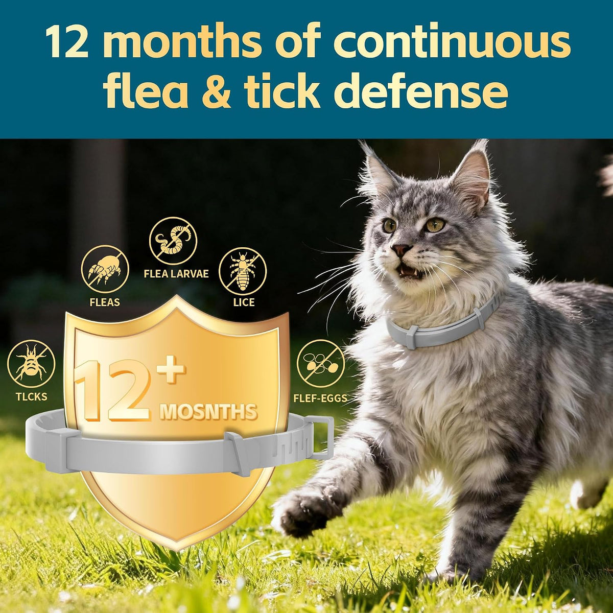 VivaElixir cat flea collar showing adjustable strap design