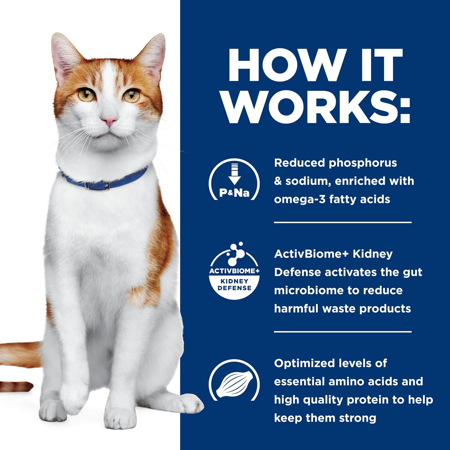 Hill's Prescription Diet k/d Kidney Care Wet Cat Food, Chicken & Vegetable Stew, 2.9 oz. Cans, 24-Pack - Image 10