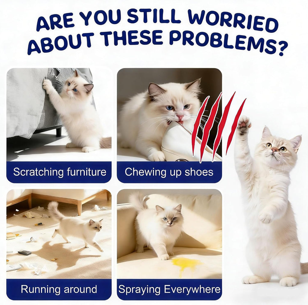 Quibbi cat scratch deterrent spray application