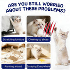 Quibbi cat scratch deterrent spray application