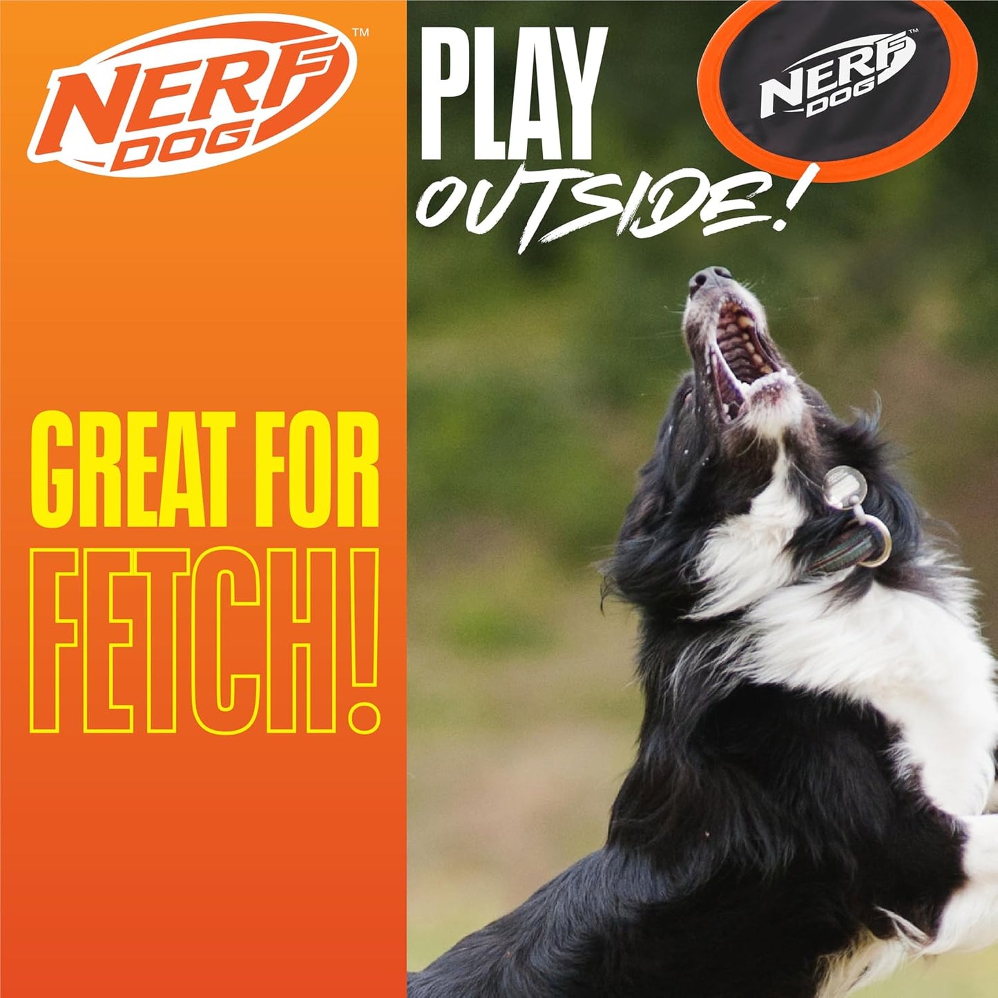 Nerf Dog Zone Flyer flying disc floating in a pool for water play.