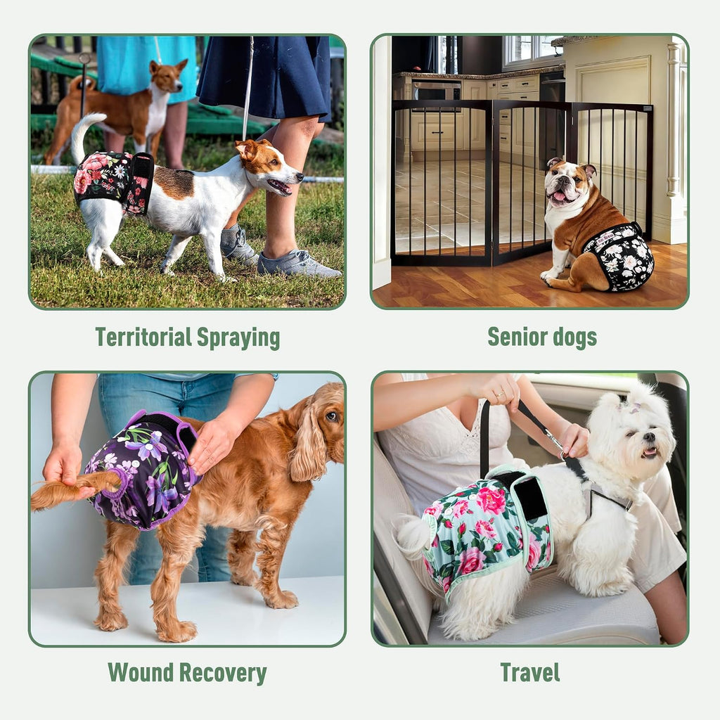Adjustable hook and loop closure system on washable doggy panties