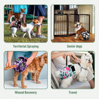 Adjustable hook and loop closure system on washable doggy panties