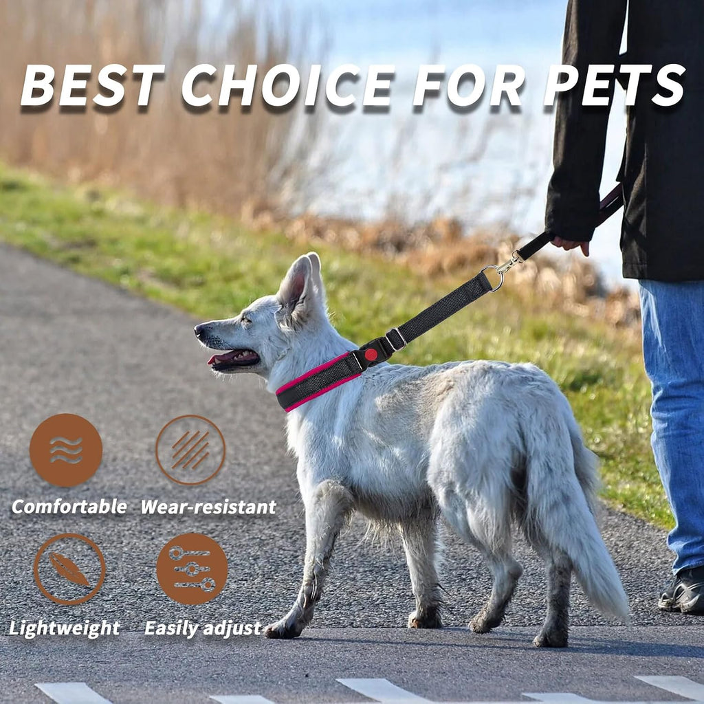 Side profile of Anglevate nylon martingale collar with safety features