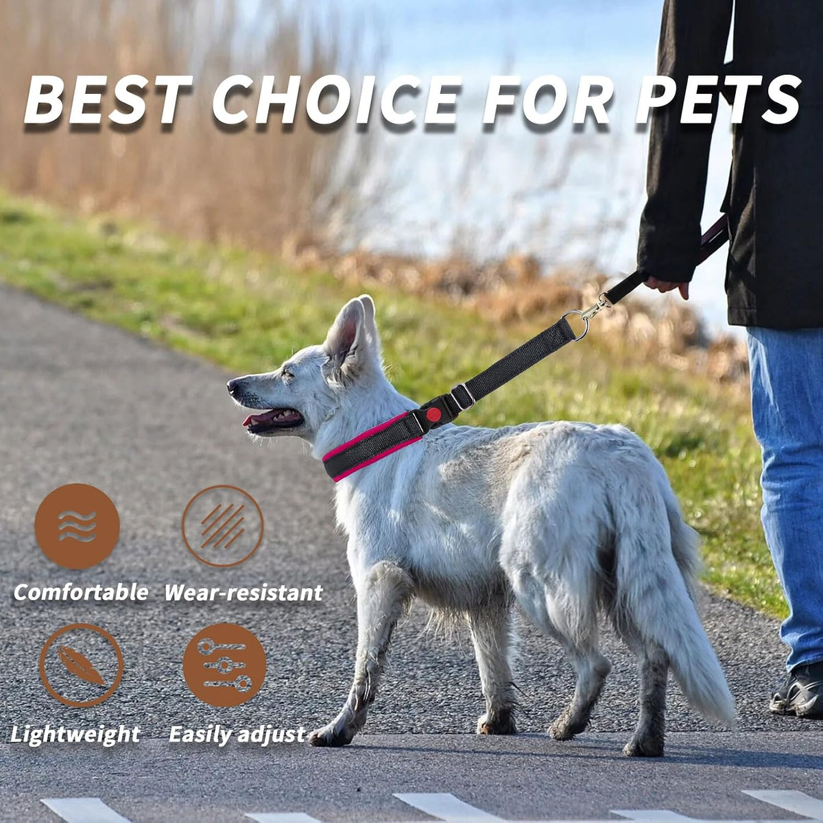 Side profile of Anglevate nylon martingale collar with safety features