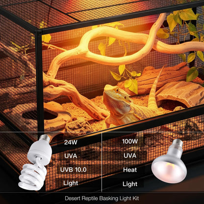 Hygger Zoo dual heat lamp setup installed over a professional turtle terrarium tank.