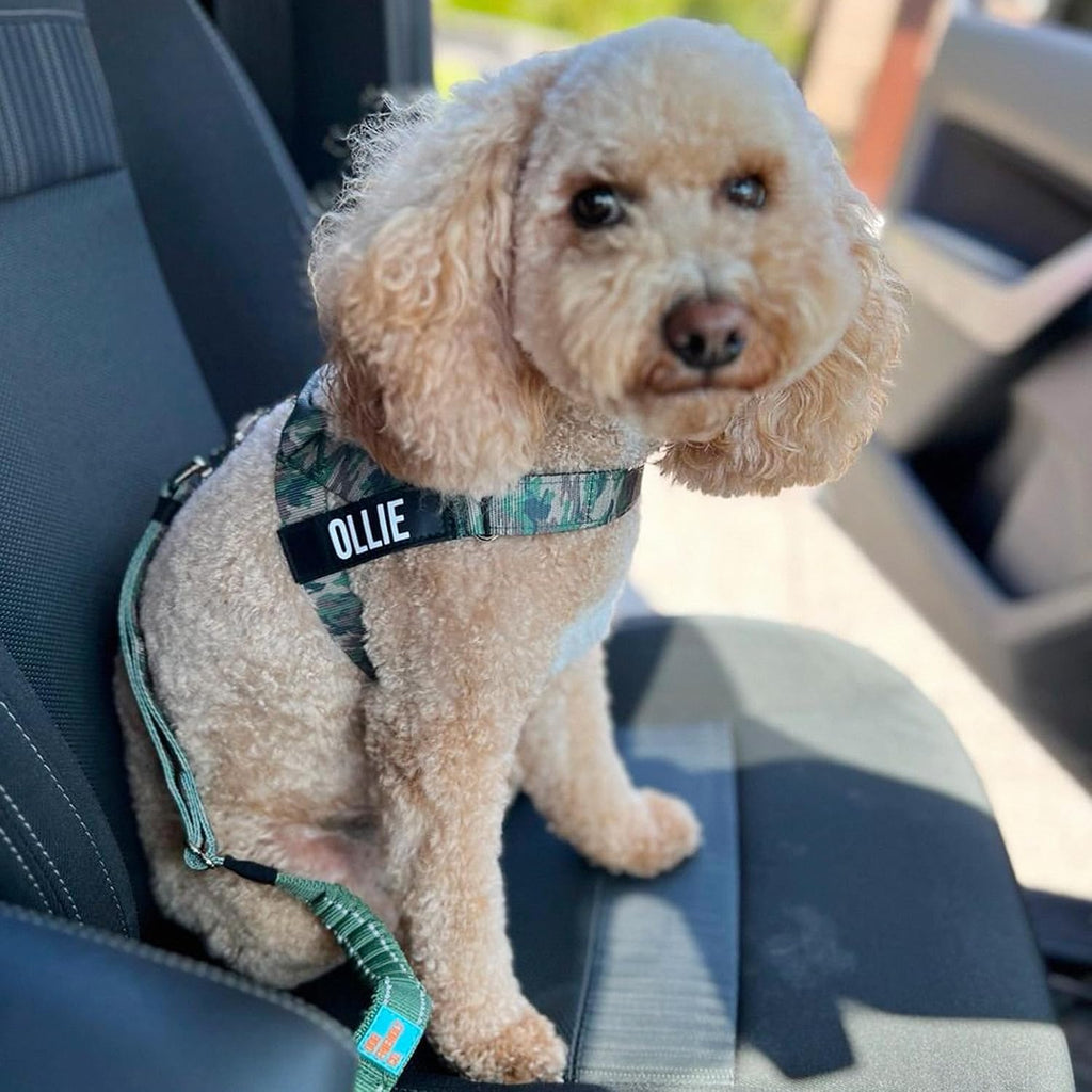 Heavy duty metal hardware on Dog Friendly Co seat belt