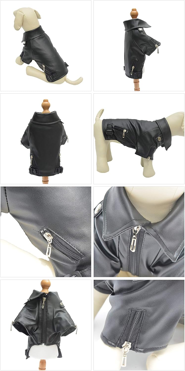 Side profile of dog wearing black biker leather jacket