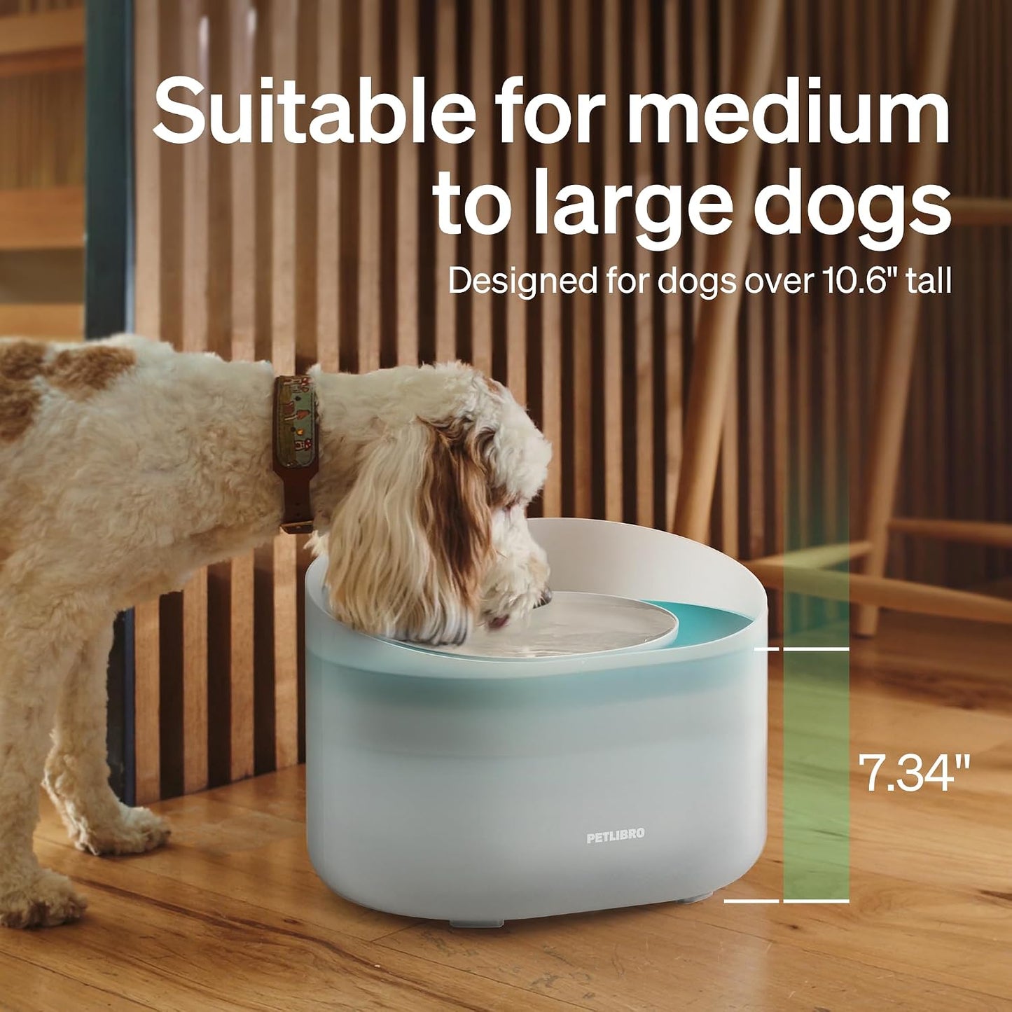 Close up of Petlibro dog fountain splash guard