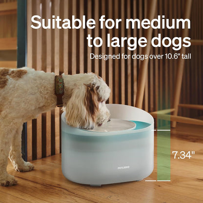 Close up of Petlibro dog fountain splash guard