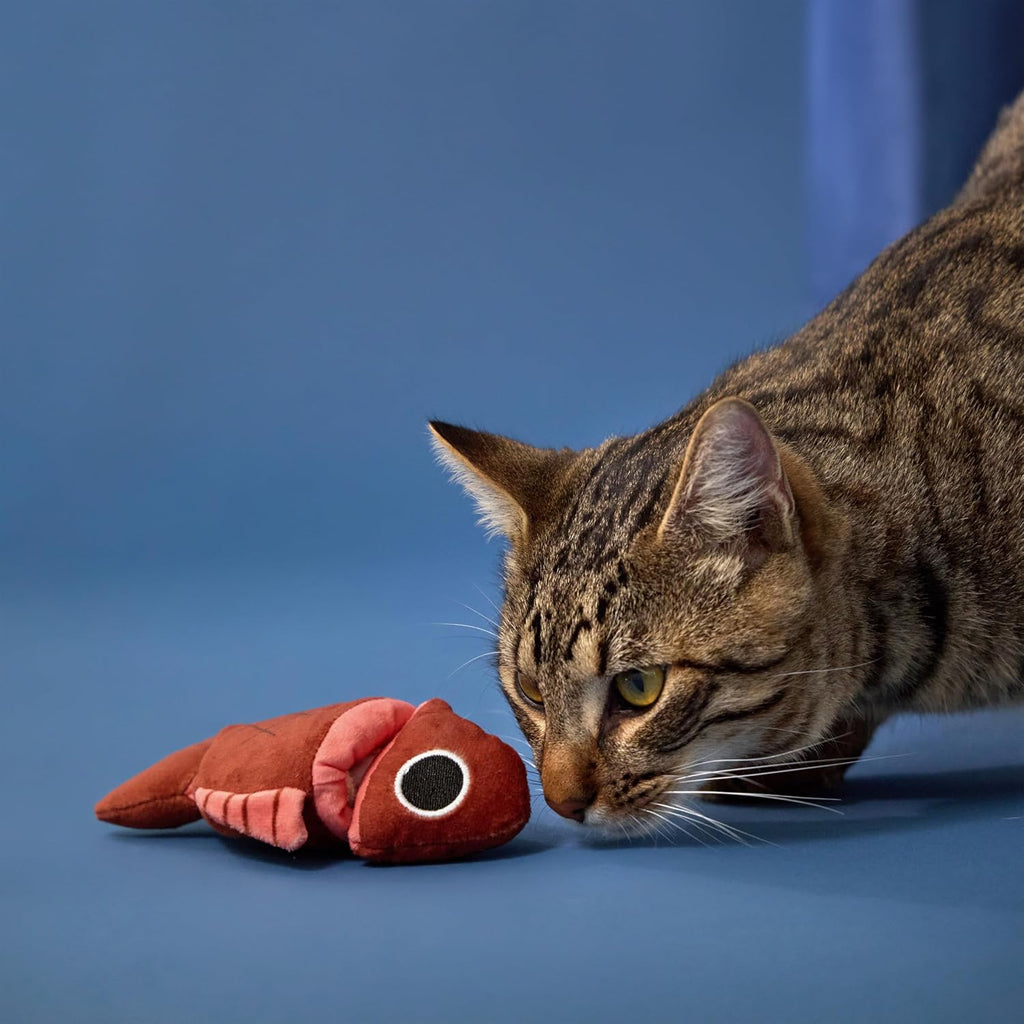 Close up view of the reinforced stitching and embroidered face on the GRRREEN eco friendly cat chew toy.