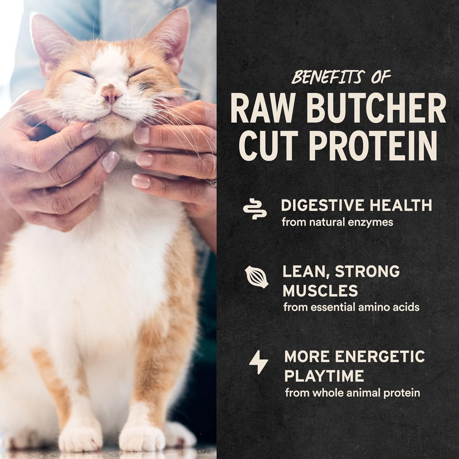 Whole animal protein freeze dried fish for cats