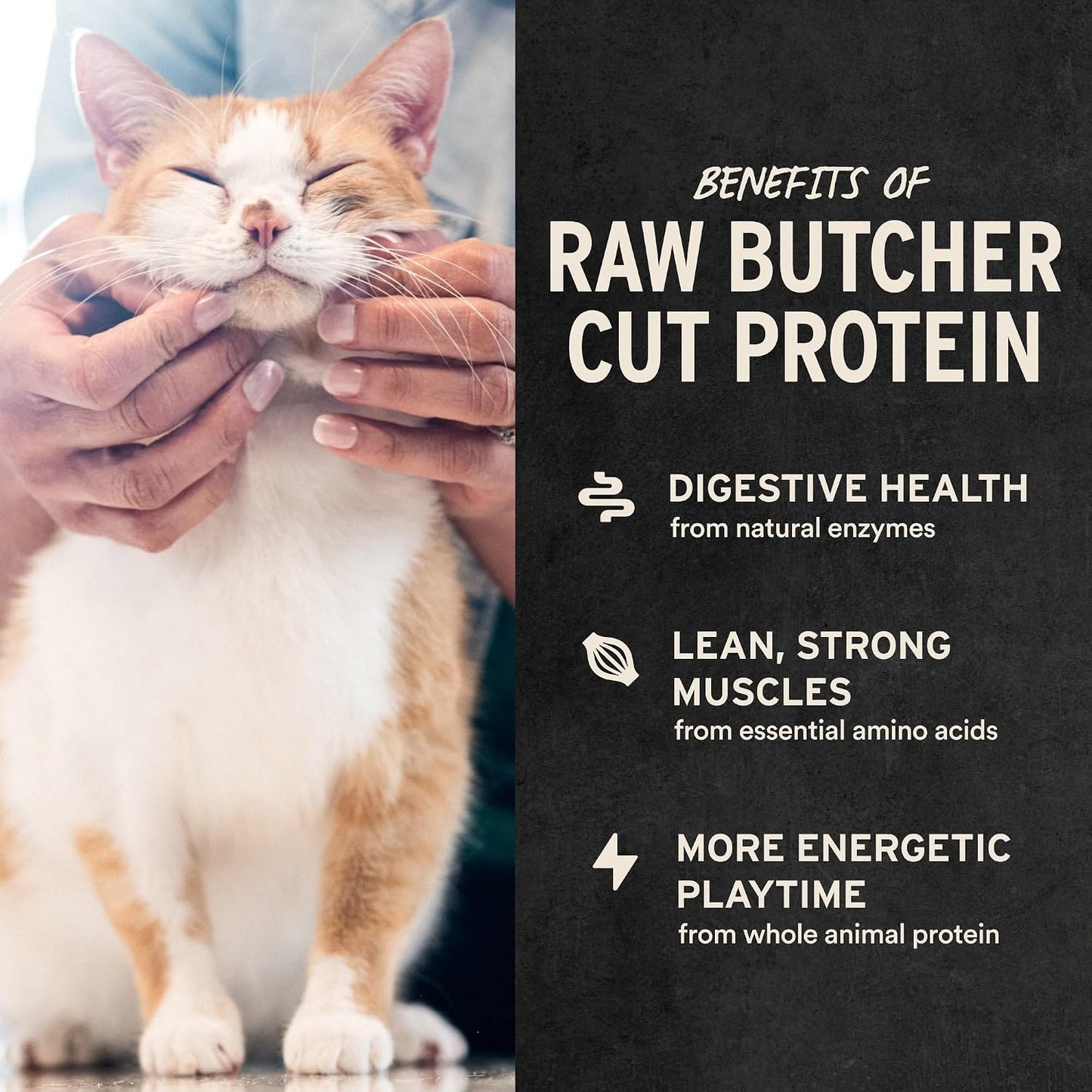 Healthy grain free freeze dried cat treats for muscle support