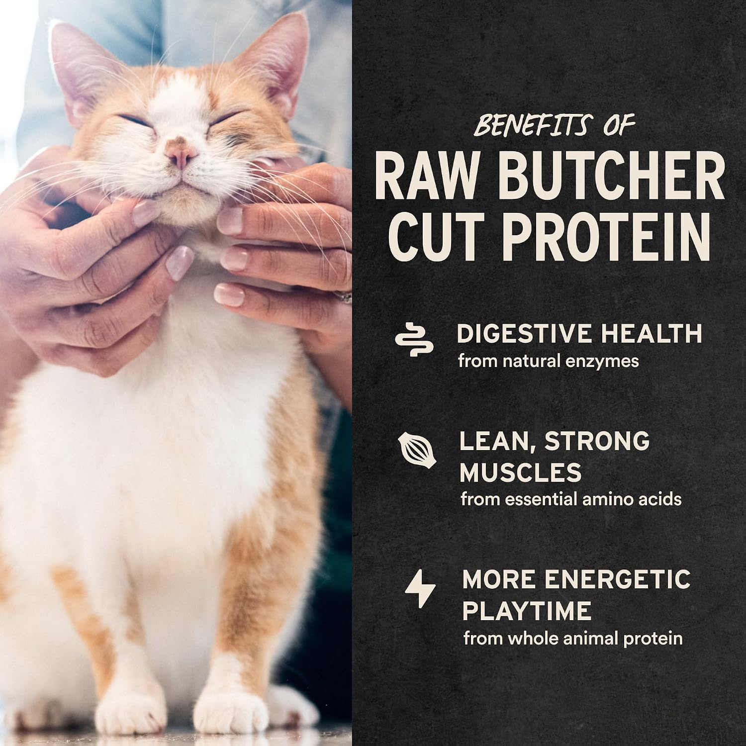 Healthy grain free freeze dried cat treats for muscle support