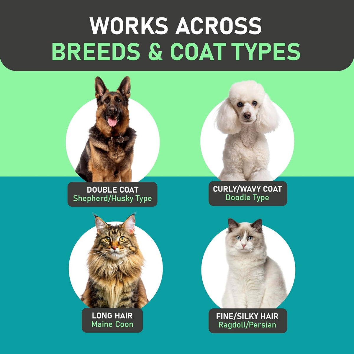Professional pet grooming with Maxpower Planet rake