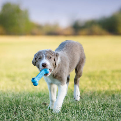 KONG Puppy Goodie Bone non toxic soft rubber formula toy for soothing sore gums