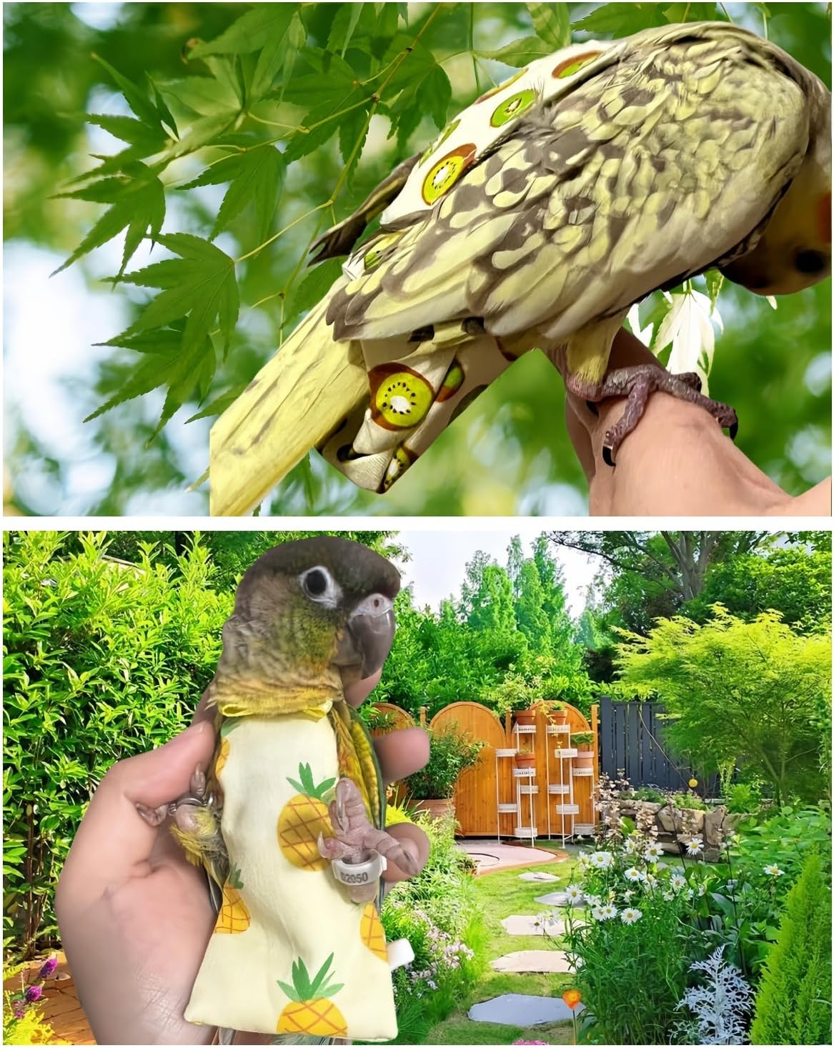 Breathable fabric texture of Magnoloran pet bird apparel