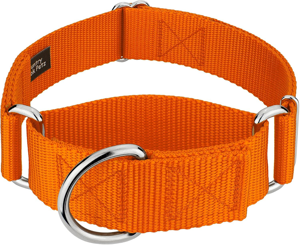 Country Brook Petz - HossFit Jr Wide Martingale Dog Collar - Training Collar with No Buckle - Service Dog Collar for All Pups - Vibrant, Colorful Collection (Royal Blue, Large) - Image 12