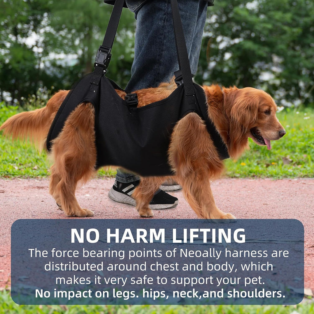 Detailed view of breathable mesh material on dog harness