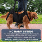Detailed view of breathable mesh material on dog harness