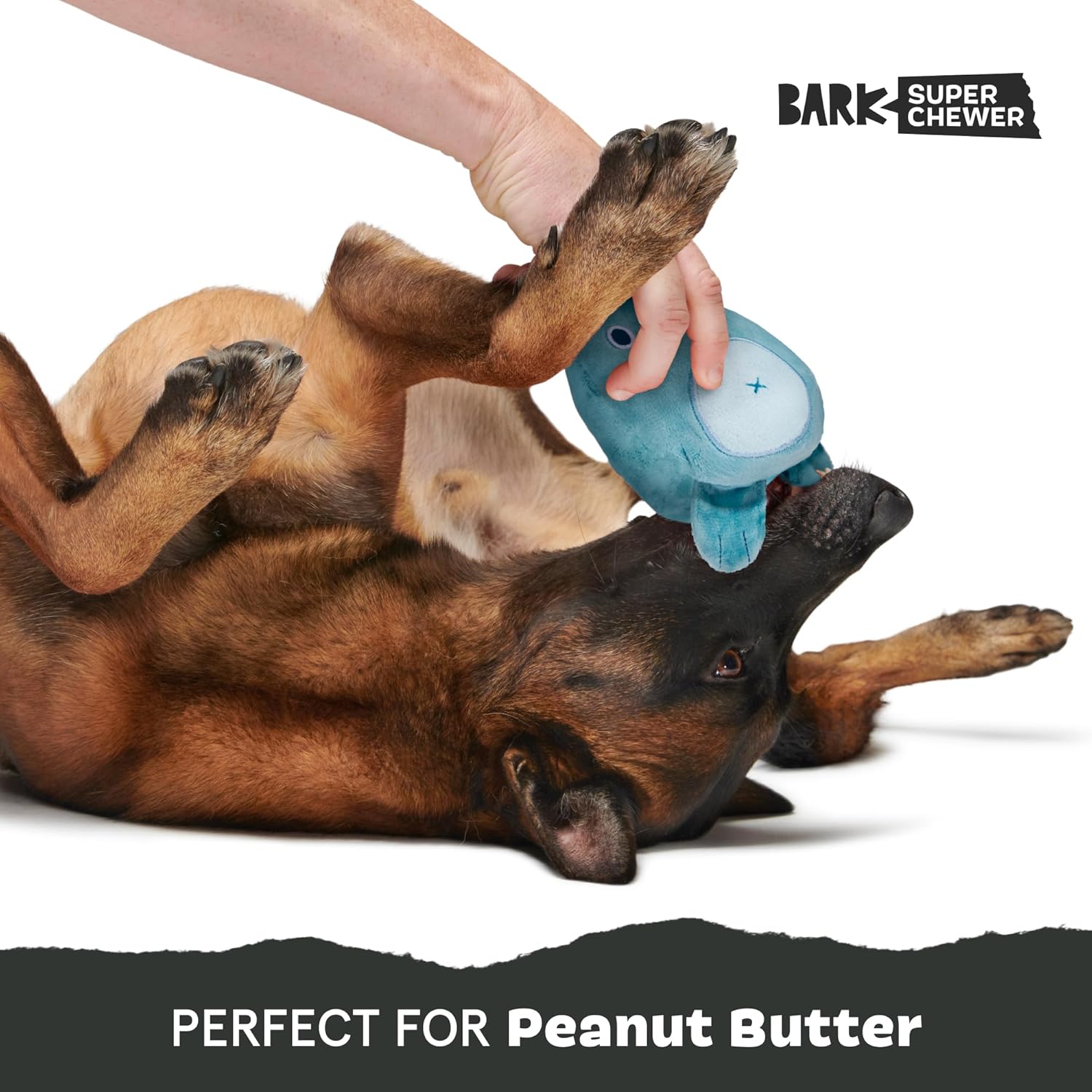 Barkbox Grey Bear Hugger showing rip and reveal feature