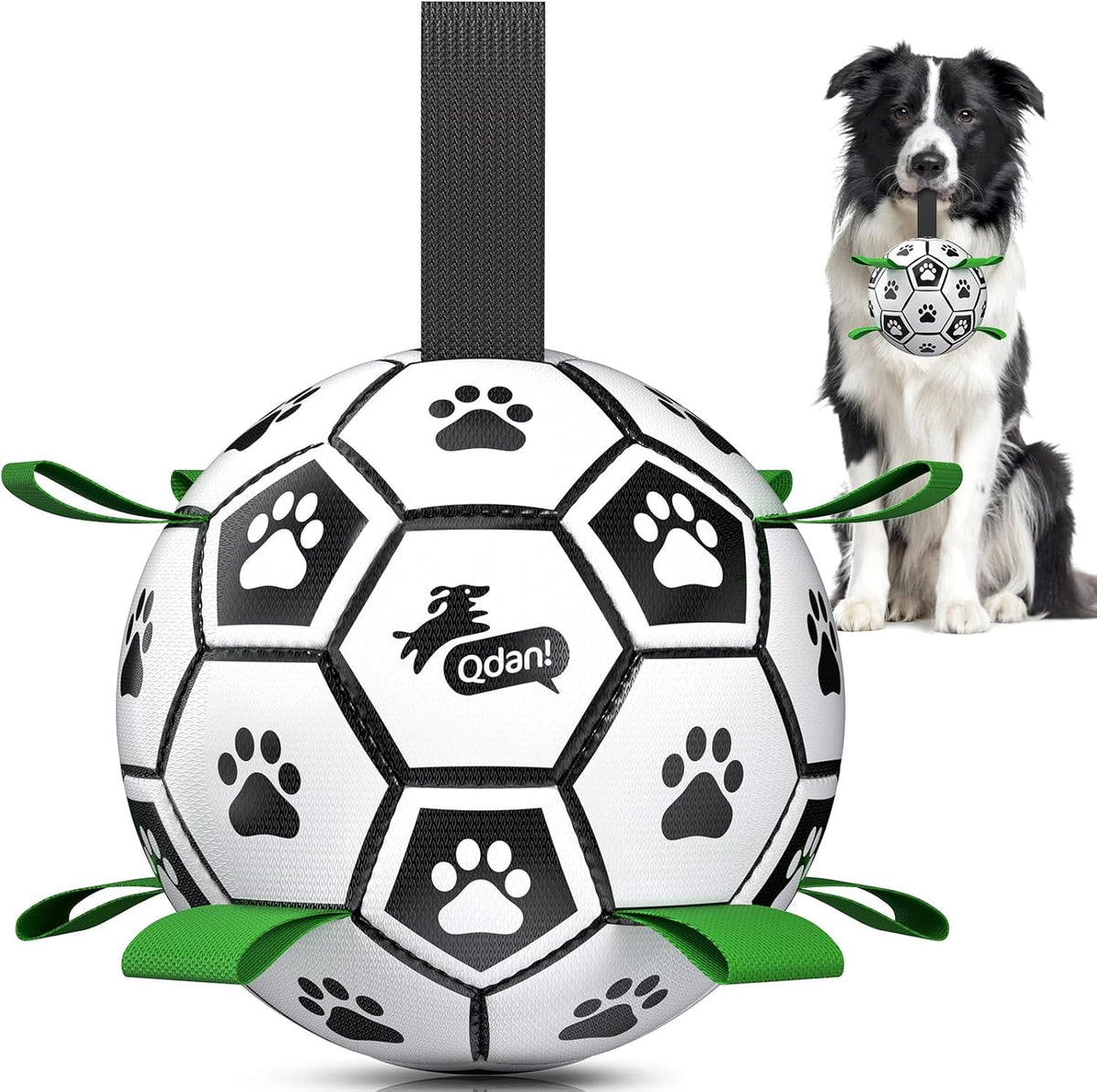 Qdan interactive dog soccer ball front view