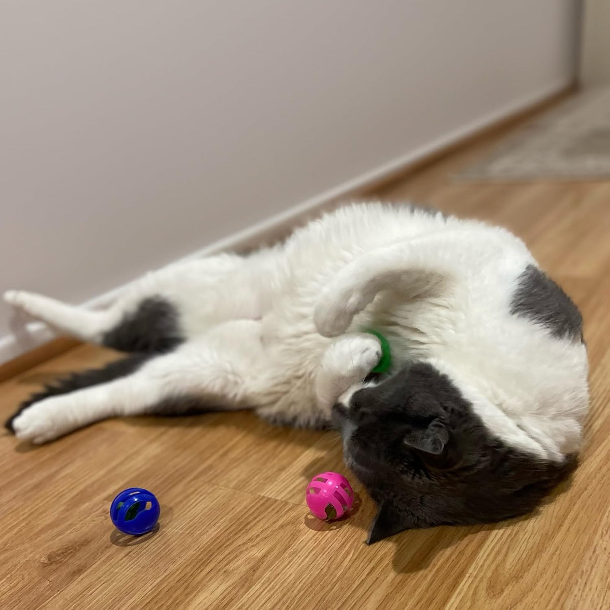 SPOT Slotted Balls Cat Toy - Interactive Cat Toys for Indoor Cats to Chase, Hunt and Stimulate - Jingle Bell Inside for Sound When Batted Around - Safe and Non-Toxic - 1.5" Assorted 4-Pack - Image 7