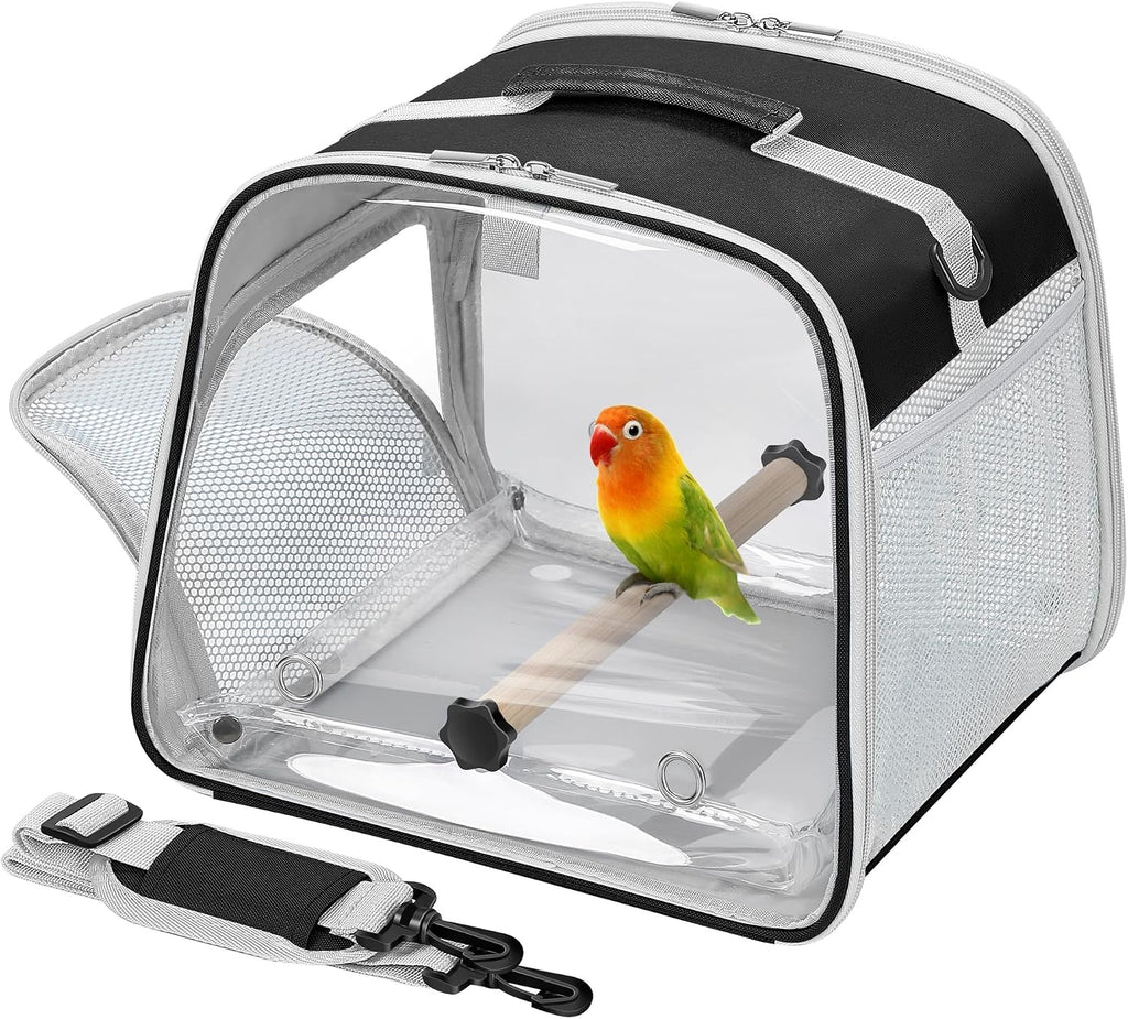 Suertree blue bird carrier lifestyle outdoor view