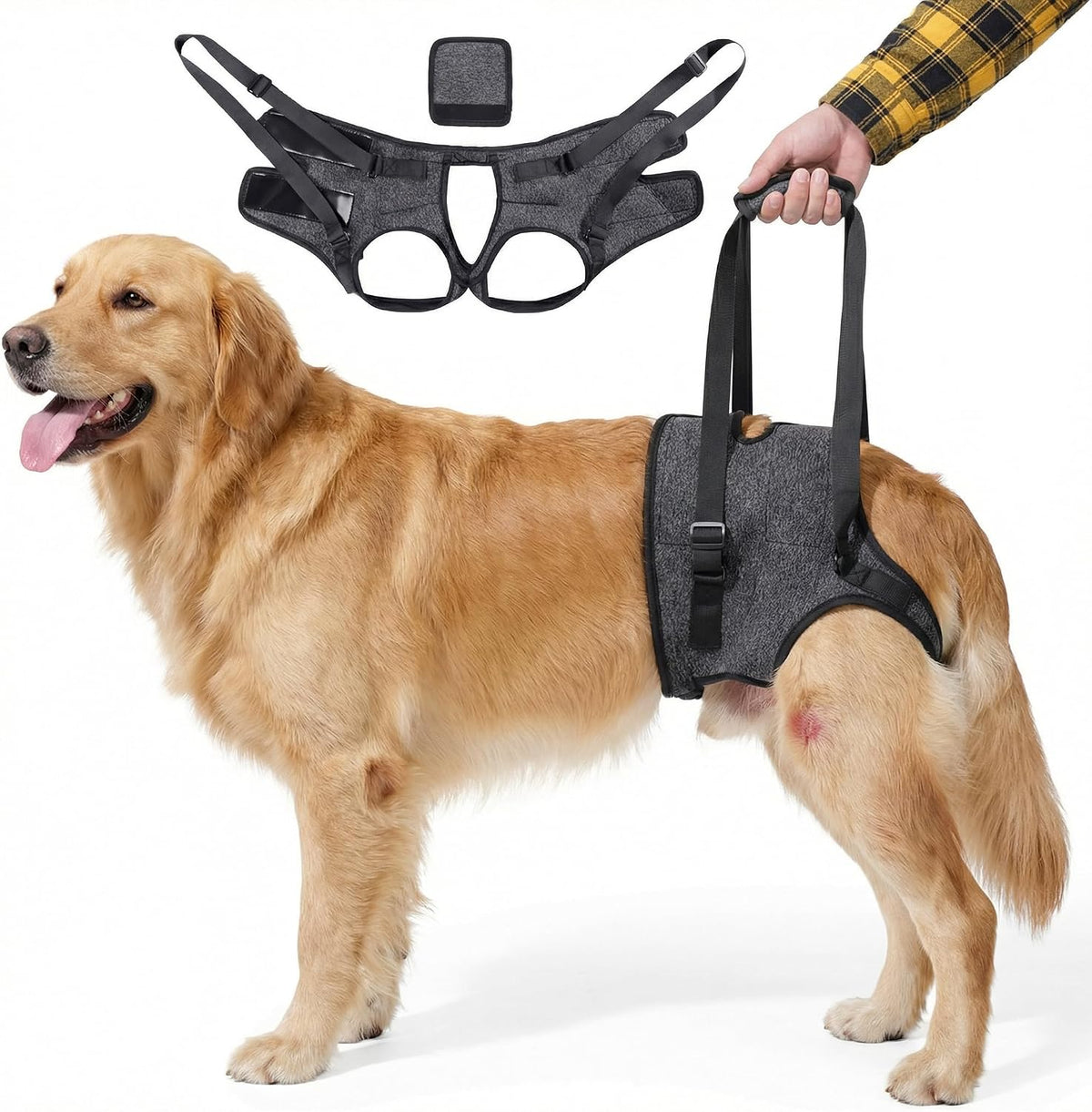 Bardimies dog lift harness for back legs grey front view