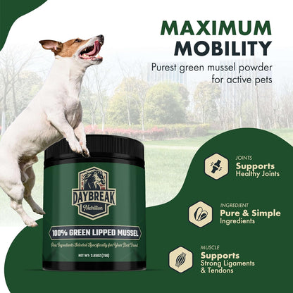 Daybreak Nutrition pet anti inflammatory powder for arthritis relief jar graphic