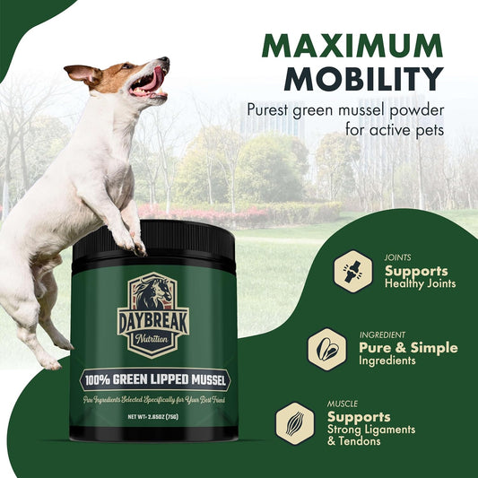 Daybreak Nutrition pet anti inflammatory powder for arthritis relief jar graphic