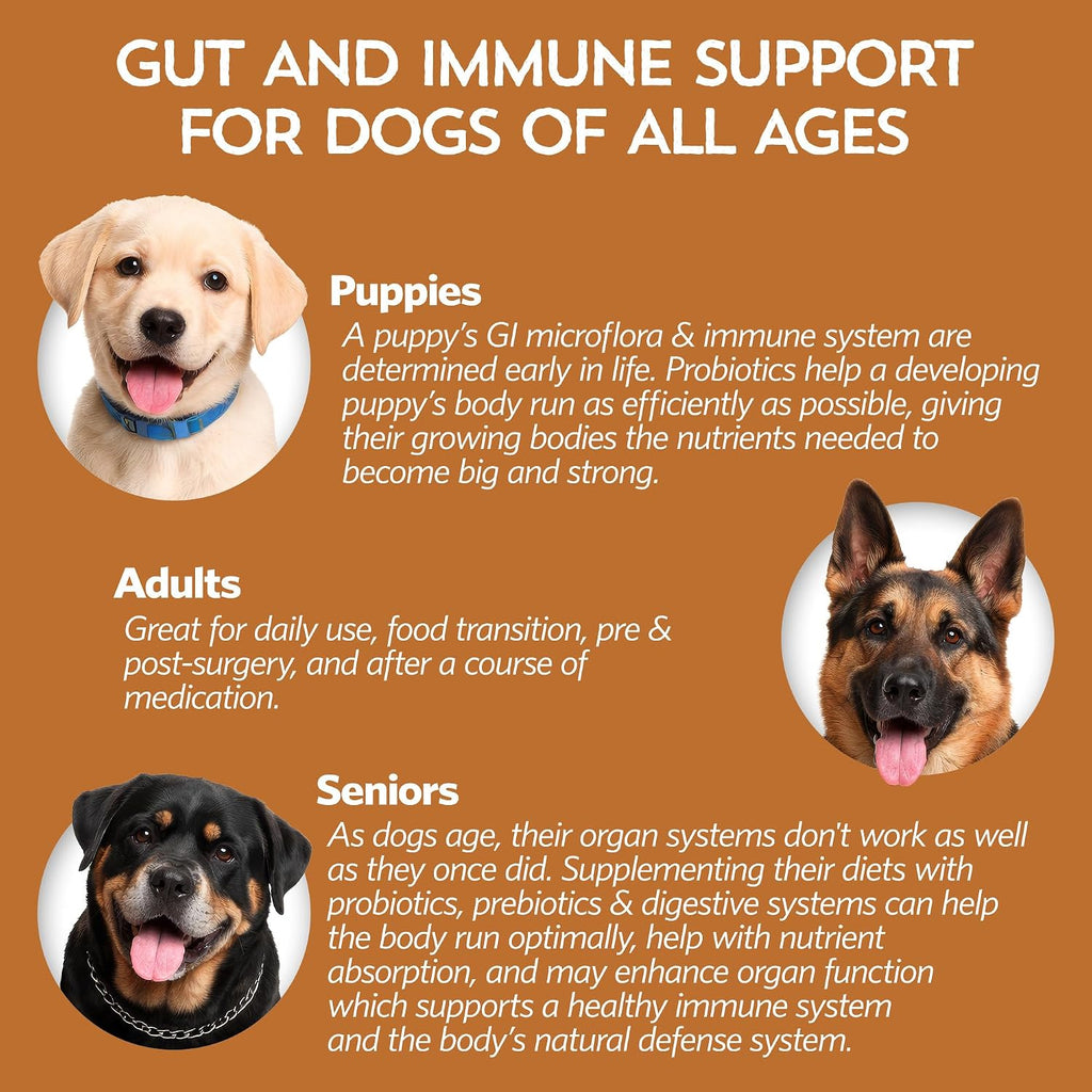 Fidobiotics Good Guts Probiotics for Dogs - Dog Probiotic Powder for Digestive Health, Gas Relief & Firmer Stools, 6B CFUs, Enzymes & Prebiotics, Medium Dogs, Puppies & Adults - Image 9
