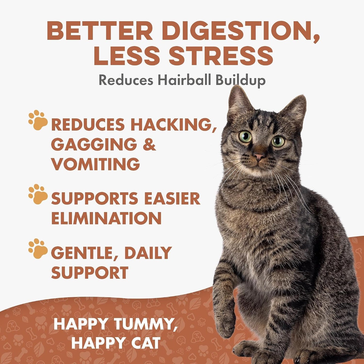 BestLife4Pets cat digestive health treatment tiny odorless pills packaging close up