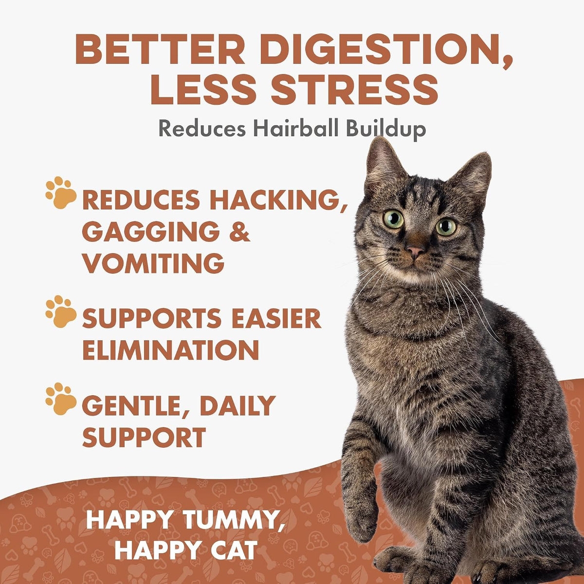 BestLife4Pets cat digestive health treatment tiny odorless pills packaging close up