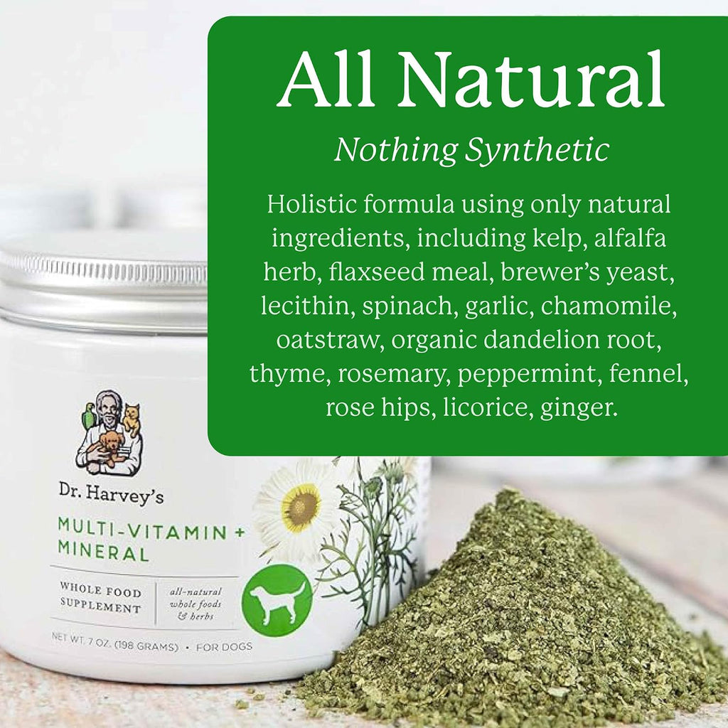 Dr. Harvey's herbal dog supplement powder texture and natural ingredients.