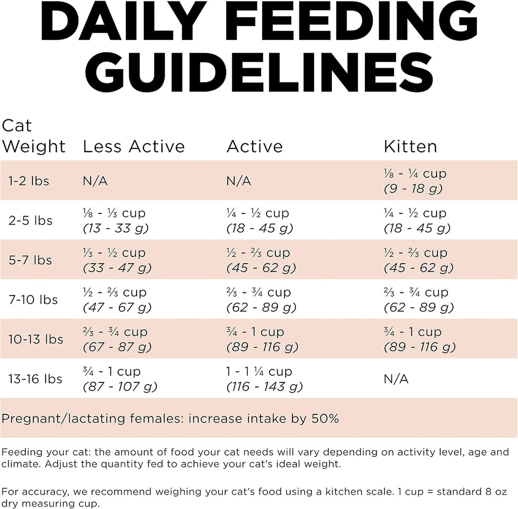 Go Solutions imported salmon and ancient grains dry cat food for kittens adults seniors