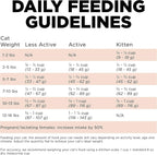 Go Solutions imported salmon and ancient grains dry cat food for kittens adults seniors