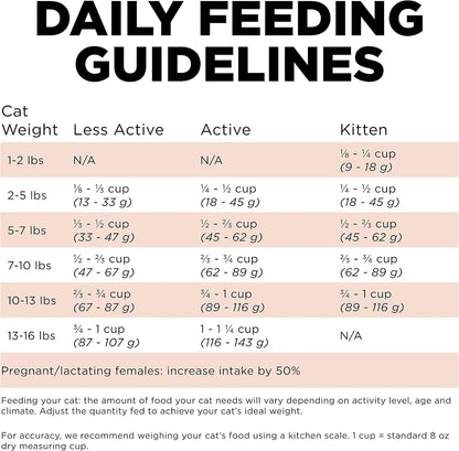 Go Solutions imported salmon and ancient grains dry cat food for kittens adults seniors