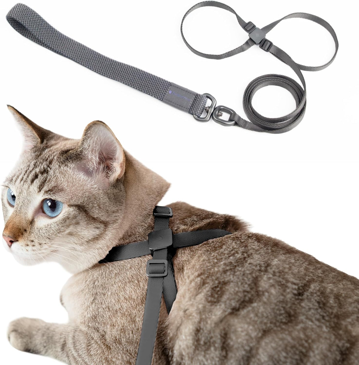 Cat Harness and Leash 2-in-1, Escape Proof Anti-Choking Harness Adjustable Lightweight Leash One-Piece Non-Detachable for Kitten Cats Outoor Walking Training, US IDA Bronze Award (Purple) - Image 12