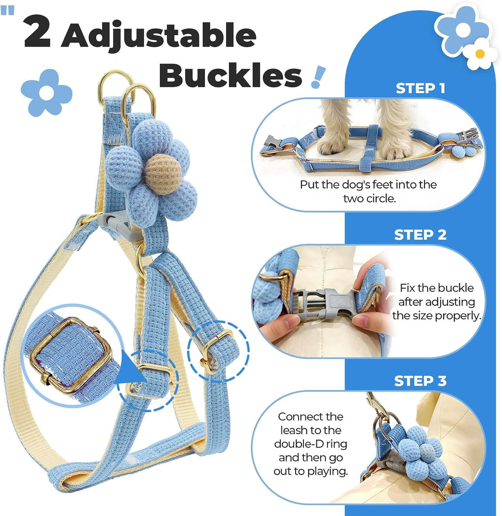 Petcare cat walking set for small breed pets