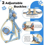 Petcare cat walking set for small breed pets