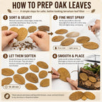 Dry oak leaves for reptiles spread out