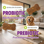 Pet Naturals premium vet formulated probiotic chews for dog immunity support