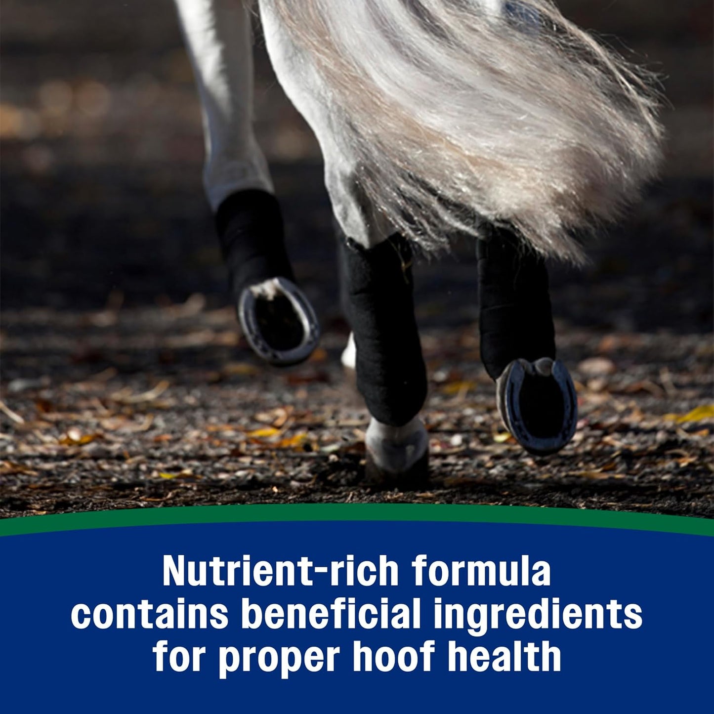 Thirty-day supply horse hoof care supplement bucket with handle