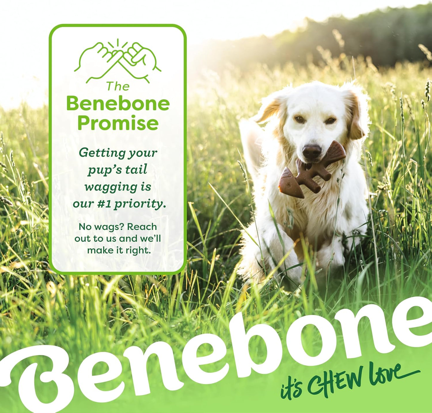 Benebone Fishbone Durable Dog Chew Toy for Aggressive Chewers, Real Fish, Made in USA, Medium - Image 6
